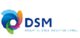 荷兰DSM公司