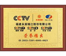 CCTV honor broadcast