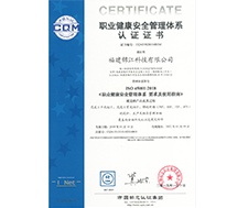 HSE Safety Certificate-Occupational Health Management System Certificate