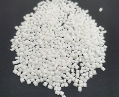 POLYAMIDE 6 CHIPS